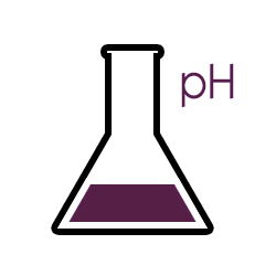 pH Measurement